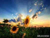 上海申羡网络科技有限公司