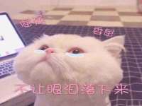 上海申羡网络科技有限公司