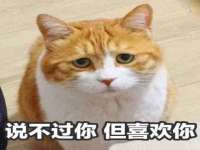 上海申羡网络科技有限公司
