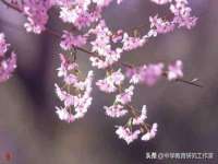 上海申羡网络科技有限公司