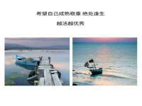 上海申羡网络科技有限公司