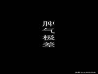 上海申羡网络科技有限公司