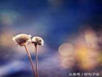 上海申羡网络科技有限公司