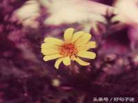 上海申羡网络科技有限公司
