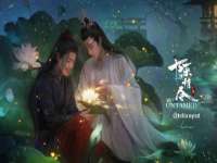 上海申羡网络科技有限公司