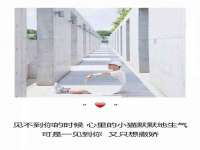 上海申羡网络科技有限公司