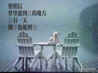 上海申羡网络科技有限公司