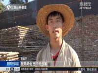 上海申羡网络科技有限公司