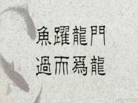 上海申羡网络科技有限公司