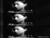上海申羡网络科技有限公司