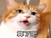 上海申羡网络科技有限公司