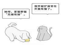 上海申羡网络科技有限公司