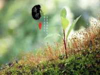 上海申羡网络科技有限公司