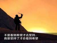 上海申羡网络科技有限公司