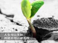 上海申羡网络科技有限公司