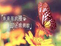 上海申羡网络科技有限公司