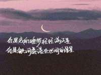 上海申羡网络科技有限公司