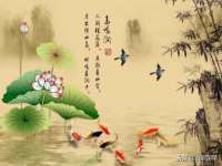 上海申羡网络科技有限公司