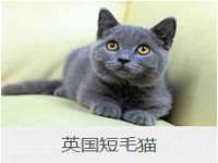 上海申羡网络科技有限公司