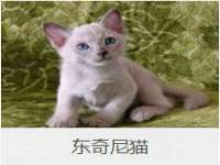 上海申羡网络科技有限公司