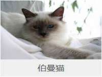 上海申羡网络科技有限公司