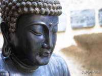 上海申羡网络科技有限公司