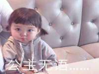 上海申羡网络科技有限公司