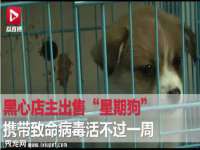 上海申羡网络科技有限公司