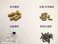 上海申羡网络科技有限公司