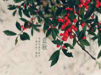 上海申羡网络科技有限公司