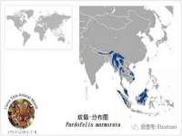 上海申羡网络科技有限公司