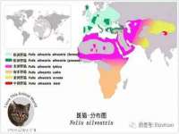 上海申羡网络科技有限公司