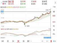 上海申羡网络科技有限公司