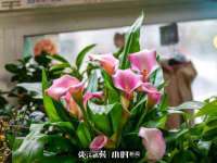 上海申羡网络科技有限公司
