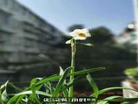 上海申羡网络科技有限公司