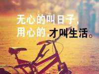 上海申羡网络科技有限公司