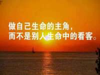 上海申羡网络科技有限公司