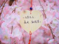 上海申羡网络科技有限公司