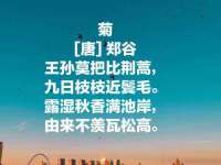 上海申羡网络科技有限公司