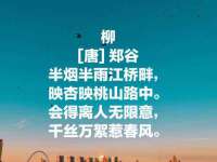 上海申羡网络科技有限公司