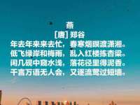 上海申羡网络科技有限公司