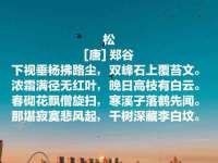 上海申羡网络科技有限公司