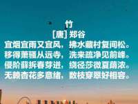 上海申羡网络科技有限公司