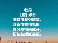 上海申羡网络科技有限公司