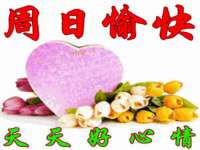 上海申羡网络科技有限公司