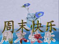 上海申羡网络科技有限公司