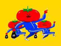 上海申羡网络科技有限公司