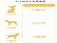上海申羡网络科技有限公司