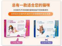 上海申羡网络科技有限公司