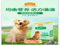 上海申羡网络科技有限公司